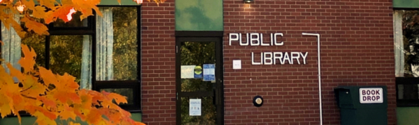 Nackawic Public-School Library
